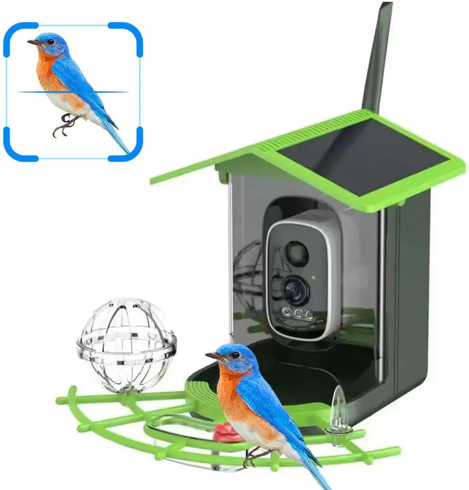 4MP 2.5K WIFI Bird feeder Camera Real Time Bird watching APP Full color Night Vision Smart AI bird recognition with Solar Panel