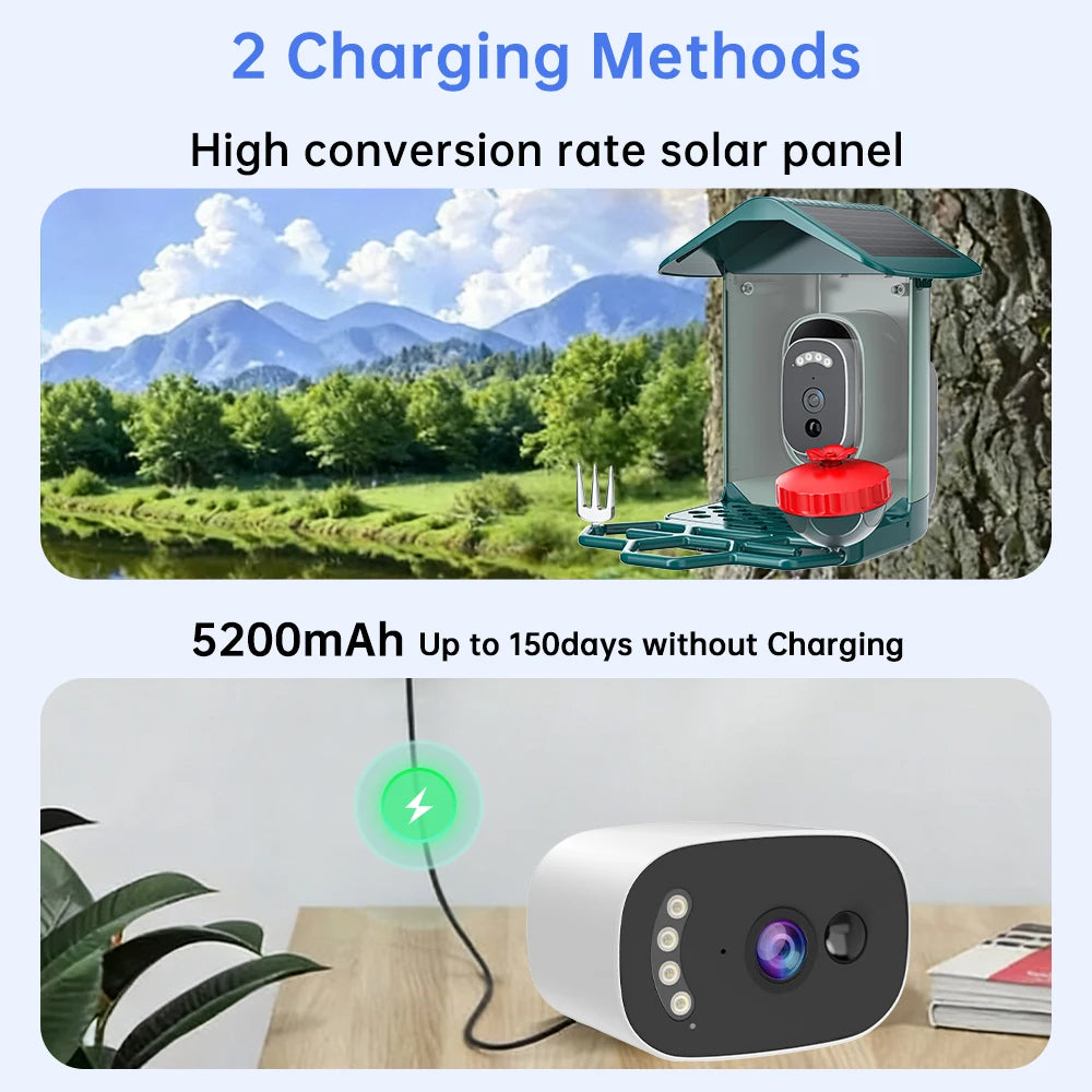 Solar Bird Feed Camera 2.4G WiFi Outdoor IP Camera Feeder Waterproof HD Bird Video Night Vision Identify Birds Species