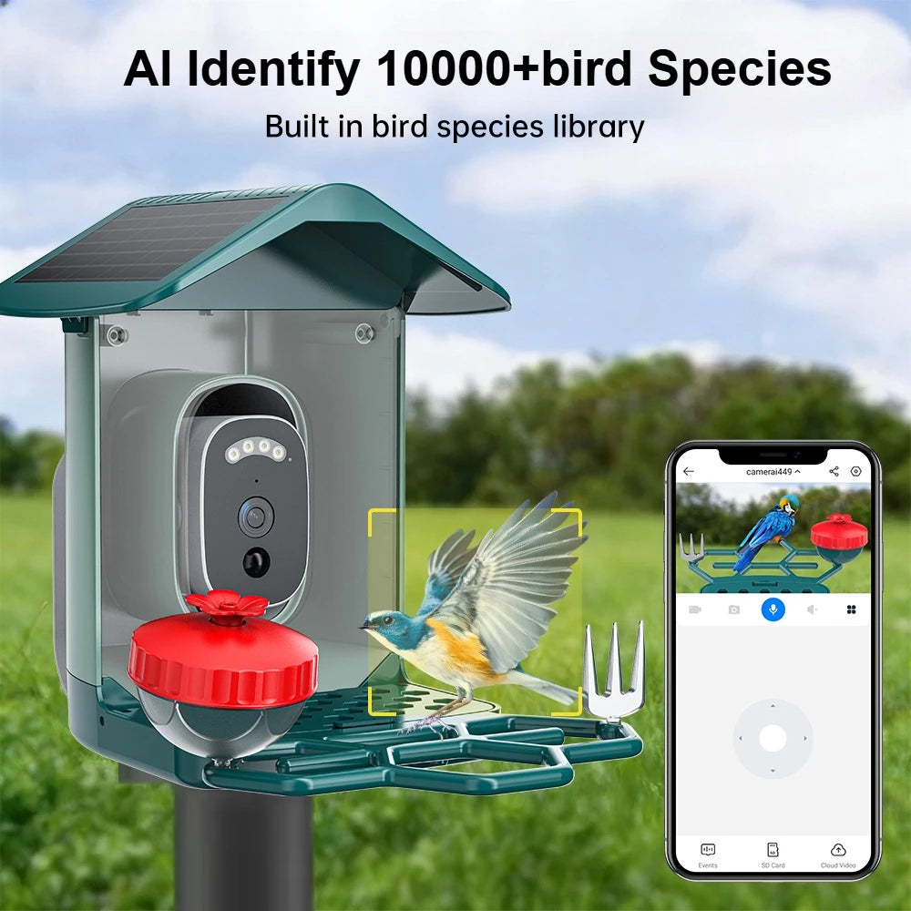 Solar Bird Feed Camera 2.4G WiFi Outdoor IP Camera Feeder Waterproof HD Bird Video Night Vision Identify Birds Species