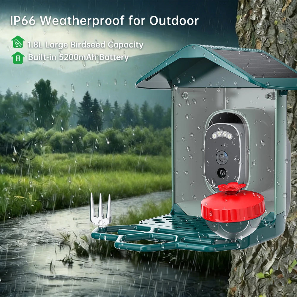 Solar Bird Feed Camera 2.4G WiFi Outdoor IP Camera Feeder Waterproof HD Bird Video Night Vision Identify Birds Species