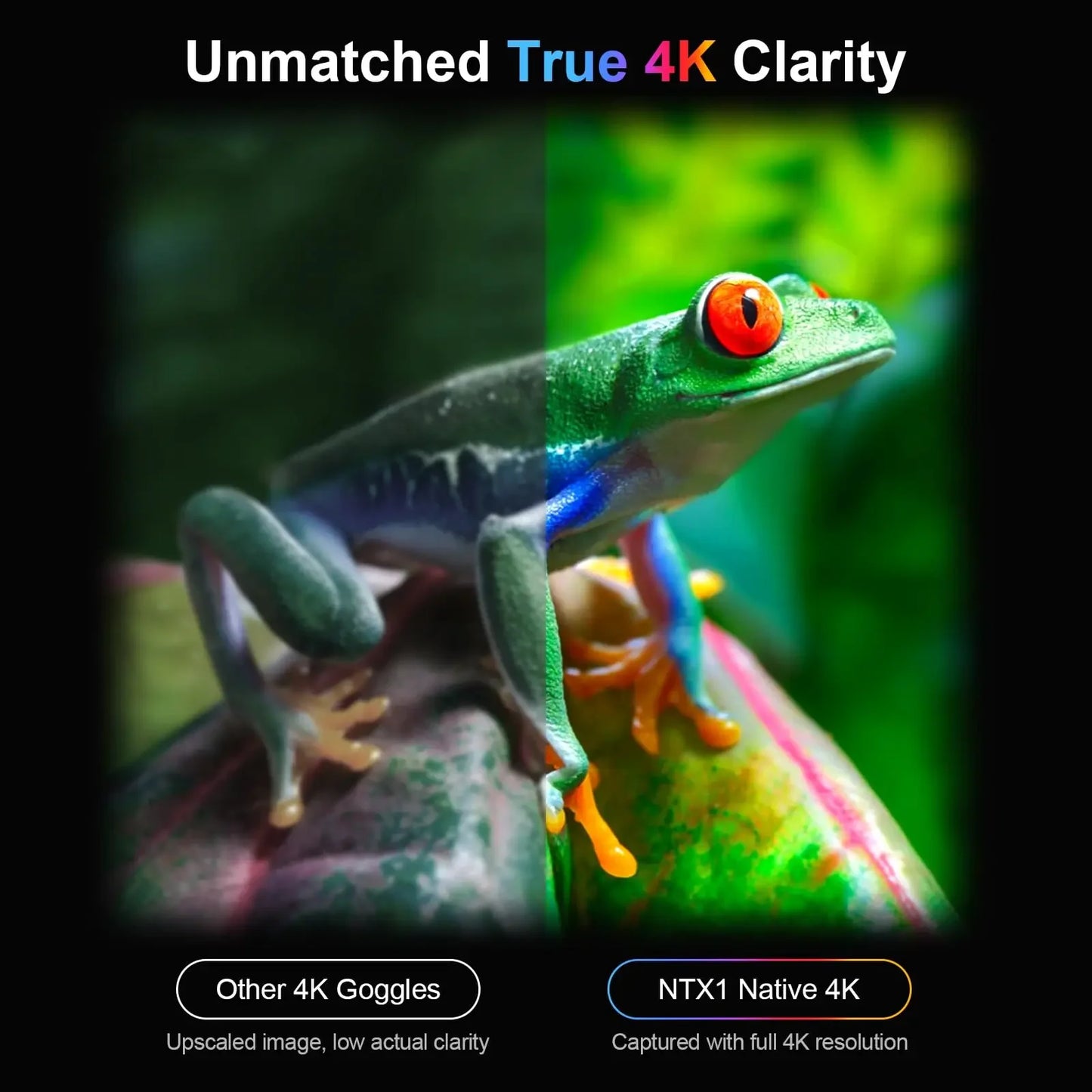 True 4K Night Vision Binoculars 1200m Long Range Night Viewing Goggles Full Color Photo and Video with App Control for Camping