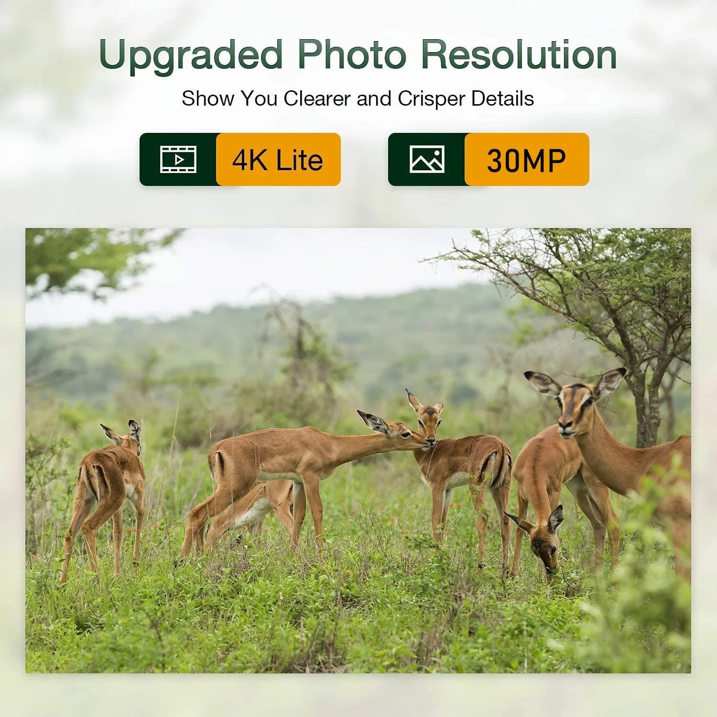 HC-801pro 4G Hunting Trail Camera 4K Video Live Show Night Vision Photo Trap 30MP APP Bluetooth Control Wildlife Cameras