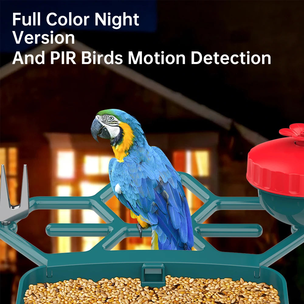 Solar Bird Feed Camera 2.4G WiFi Outdoor IP Camera Feeder Waterproof HD Bird Video Night Vision Identify Birds Species