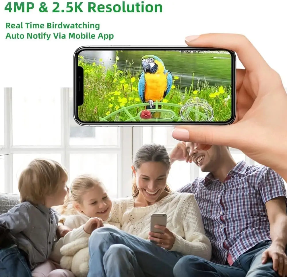 4MP 2.5K WIFI Bird feeder Camera Real Time Bird watching APP Full color Night Vision Smart AI bird recognition with Solar Panel