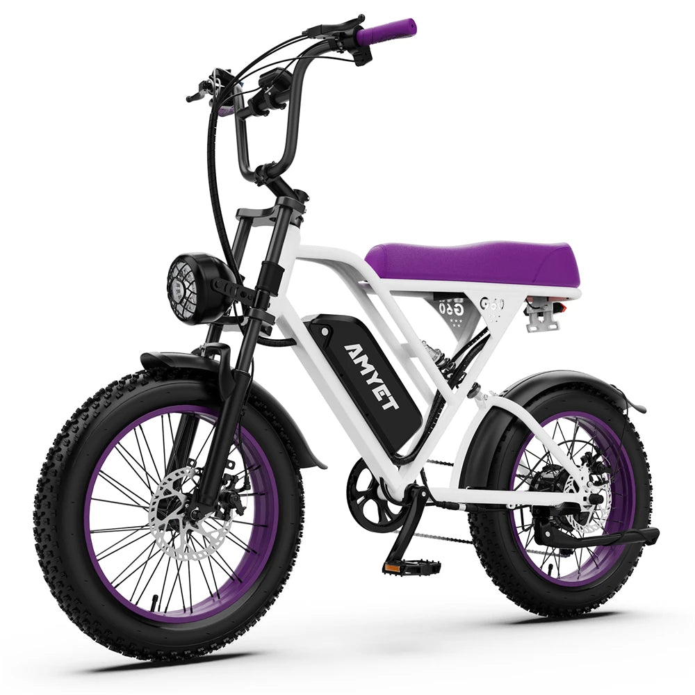 Adults Electric Bike 1000W Motor Bicycle 48V 20AH 20“ Tire Ebike Electric E Bikes Mountain Moped Ebikes For Men