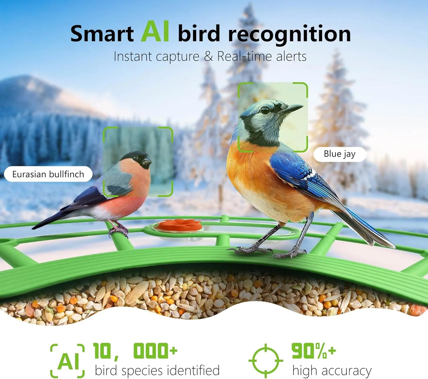 4MP 2.5K WIFI Bird feeder Camera Real Time Bird watching APP Full color Night Vision Smart AI bird recognition with Solar Panel