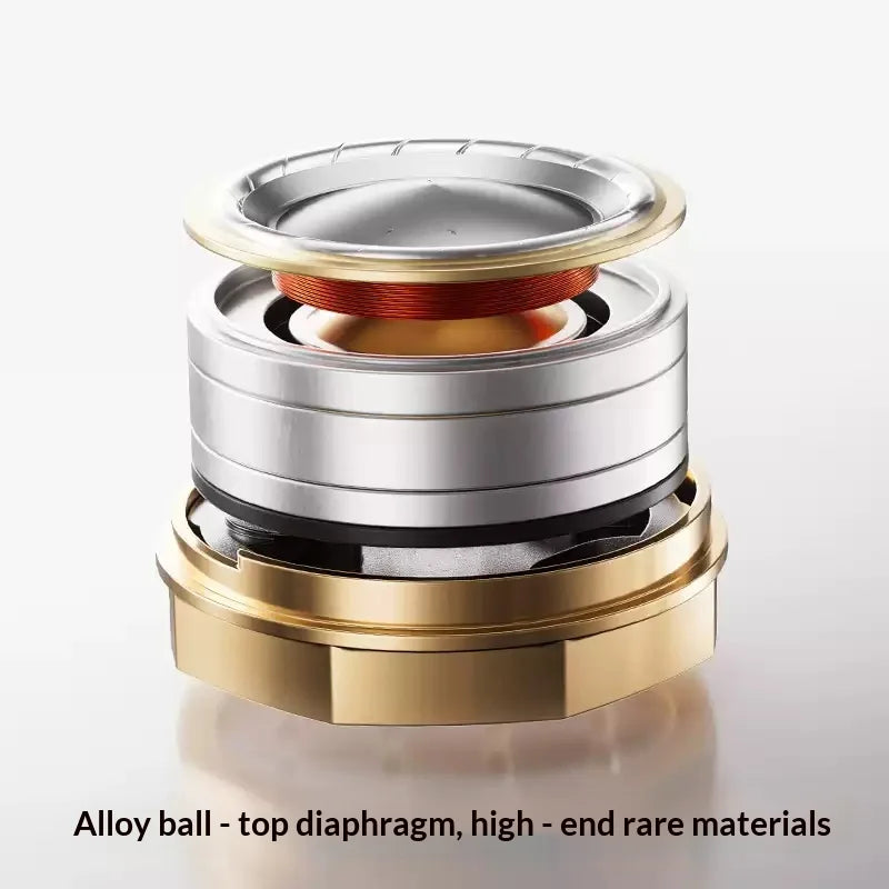 Fiio Oak Nano Moving Coil In-Ear Headphones Beryllium Metal Diaphragm Hifi Beryllium Metal Dome Diaphragm Three Kinds Plugs